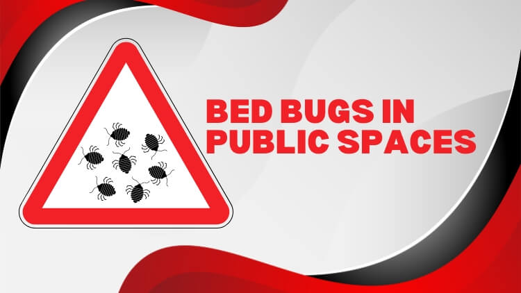 Toronto Pest Control_ Bed Bugs in Public Spaces