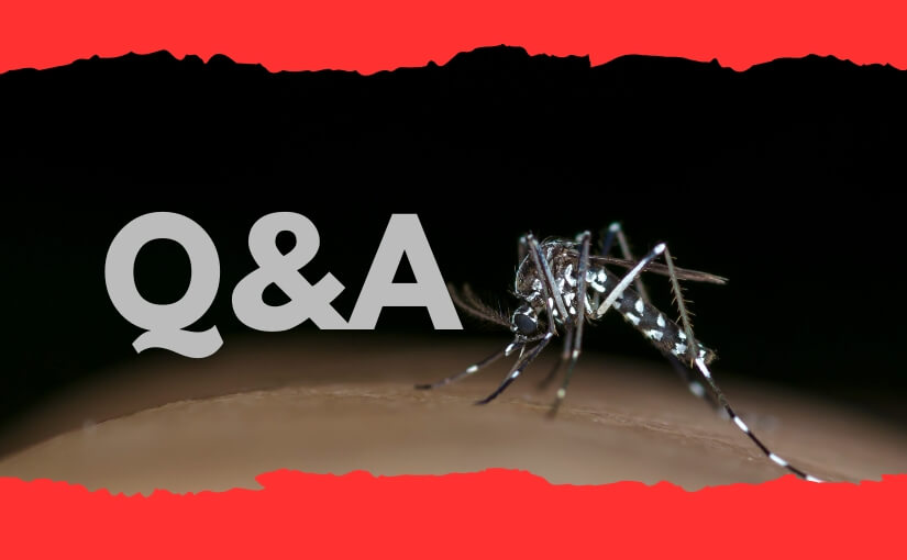 Top 6 Frequently Asked Questions About Mosquito Control in Mississauga Answered