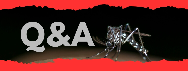 Top 6 Frequently Asked Questions About Mosquito Control in Mississauga Answered