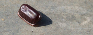 Commercial Pest Control
