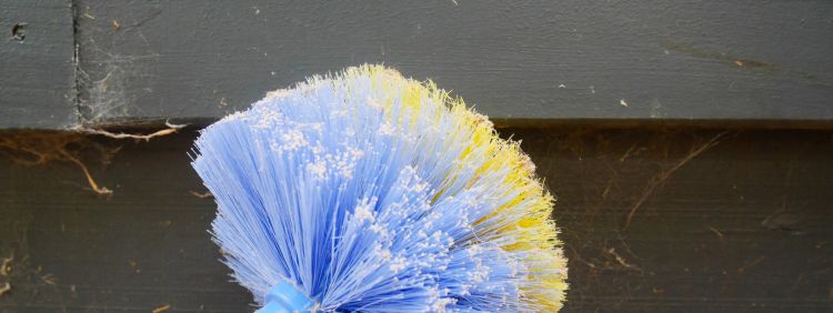 Banish Spiders for a Peaceful Home